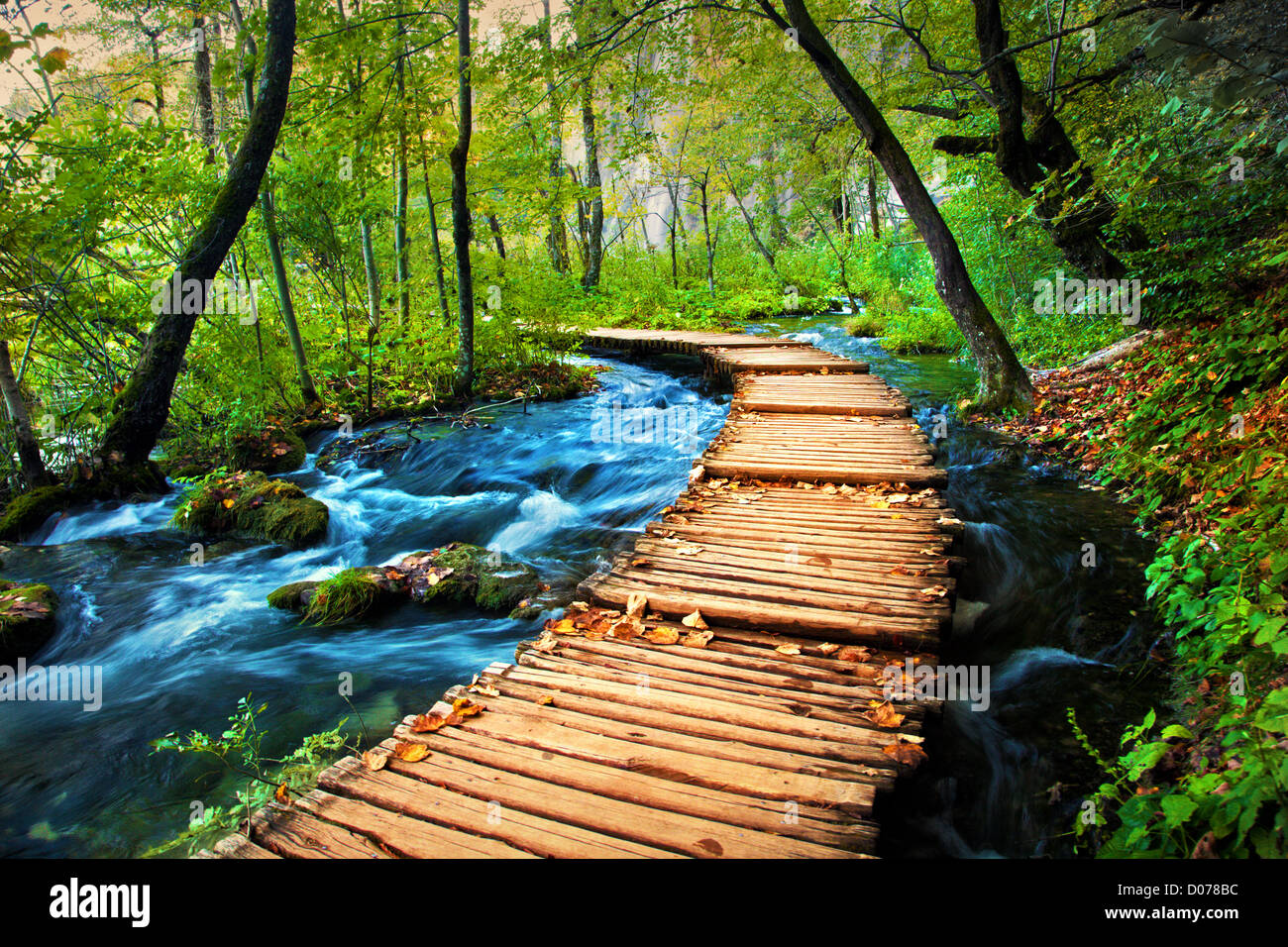 Forest path, pathway with stream Stock Photo