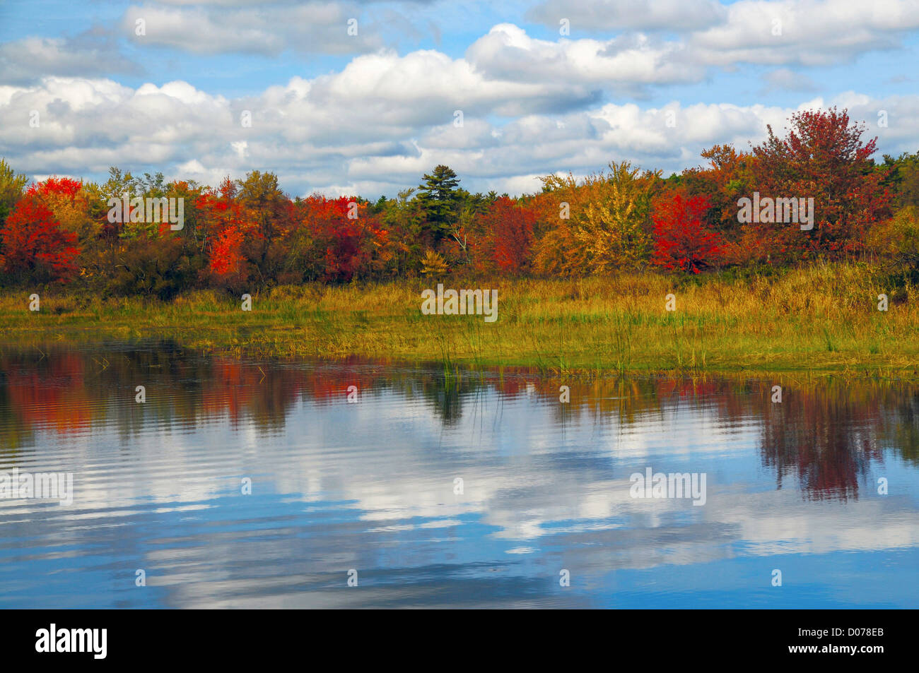 Autumn at Sebago Lake State Park, Raymond, Maine, USA Stock Photo Alamy
