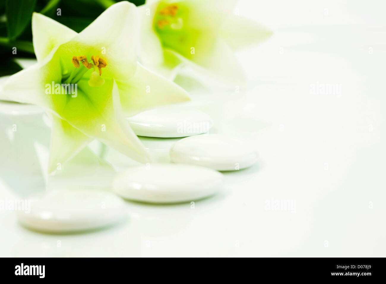 White lily spa hi-res stock photography and images - Alamy