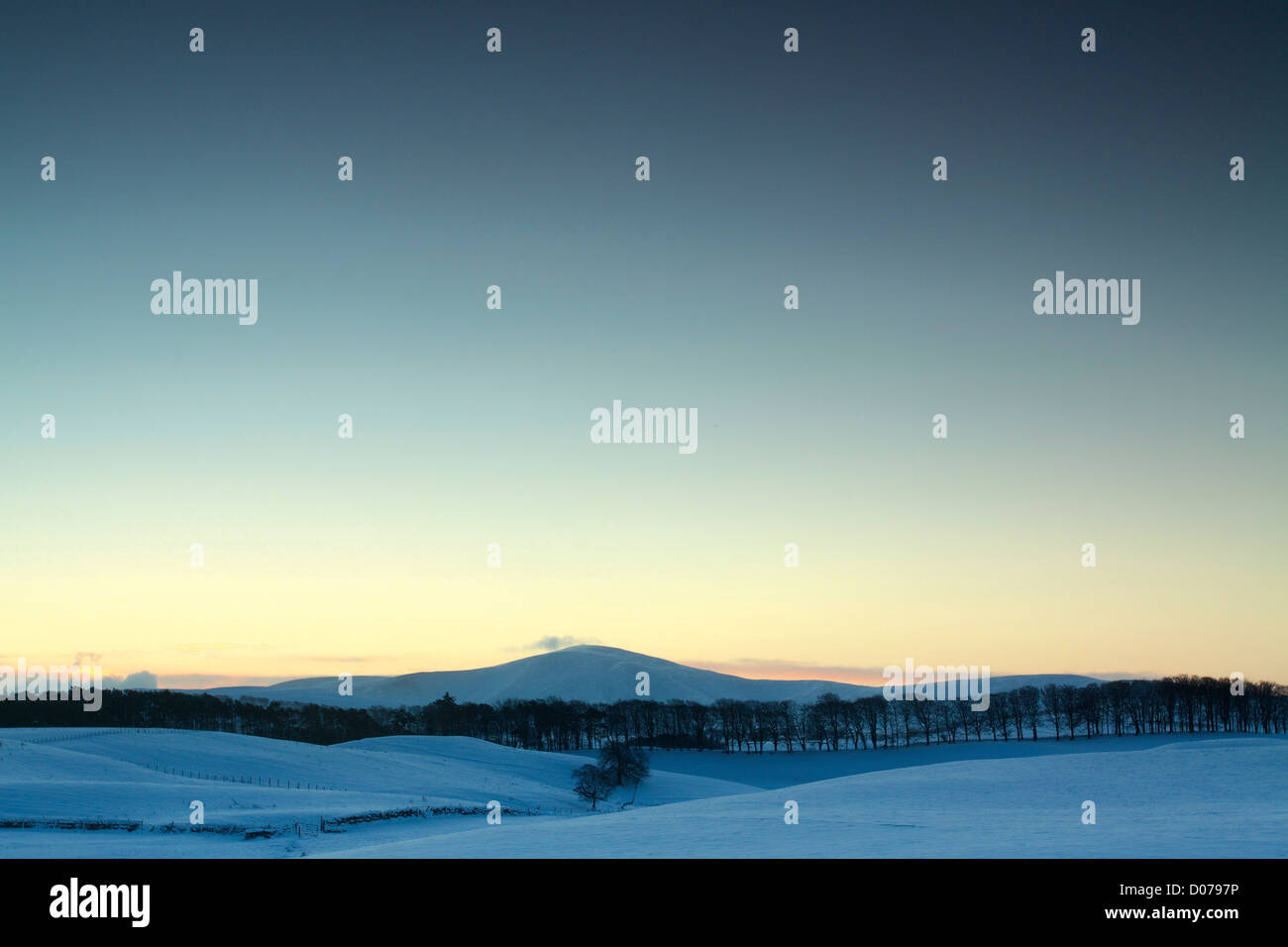 Tinto Hill from The Beeches, Lanark, South Lanarkshire Stock Photo