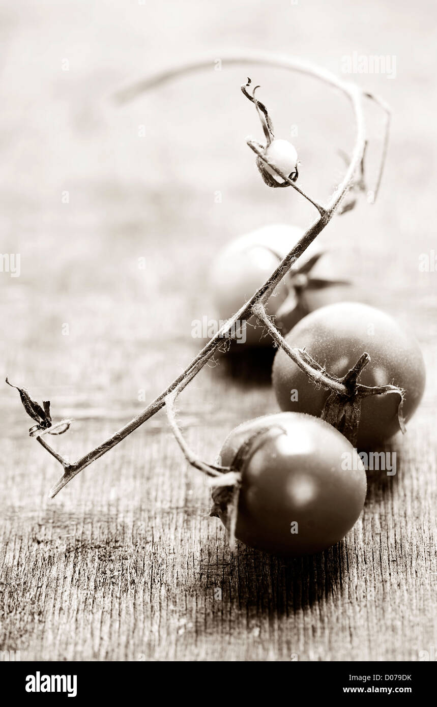 still life with tomatos on a wooden board sepia toned Stock Photo - Alamy