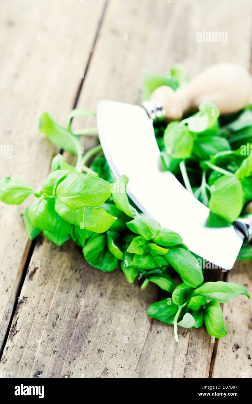 chopped herbs Stock Photo