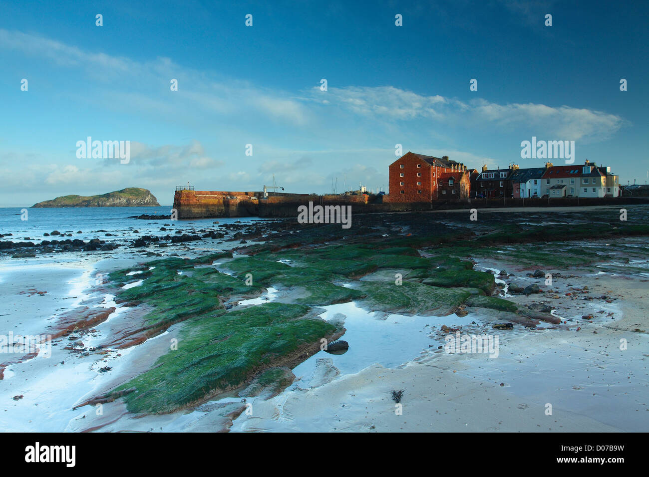 Craigleith and North Berwick Harbour from West Links, North Berwick
