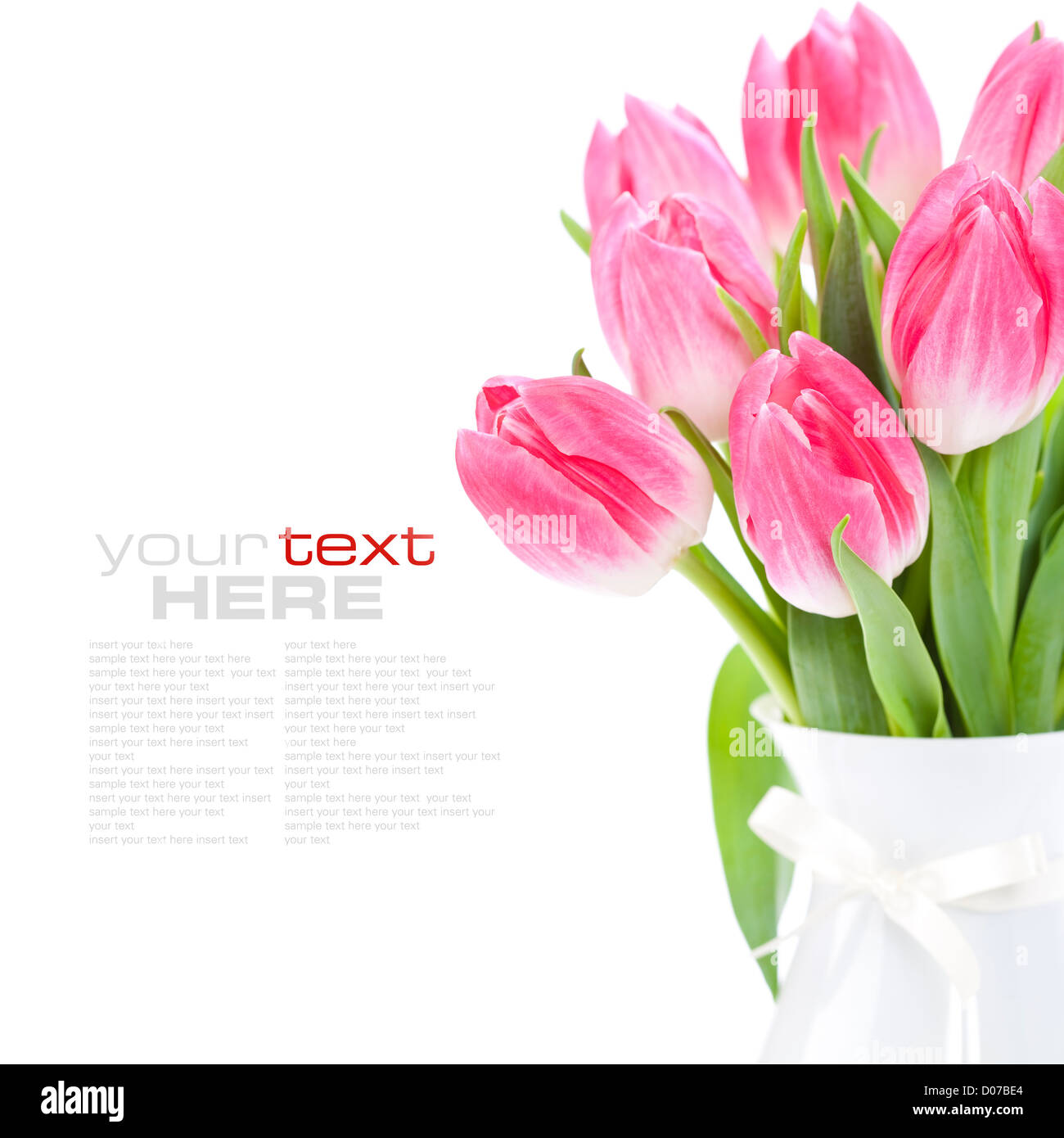 Pink tulips on white background (with sample text Stock Photo - Alamy