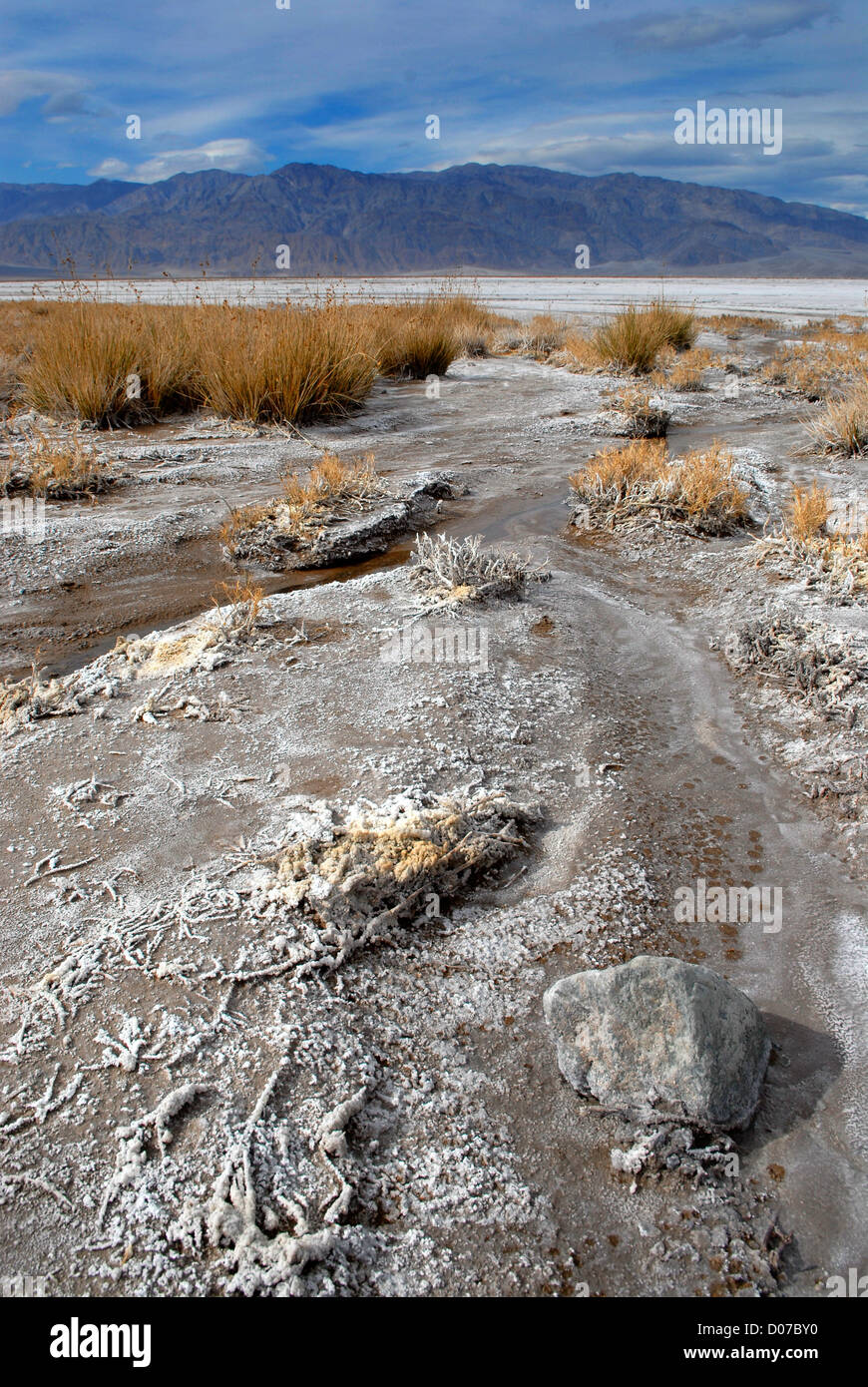Dry Lake Bed Death Valley Hi res Stock Photography And Images Alamy dry-lake-bed-death-valley-hi-res-stock-photography-and-images-alamy