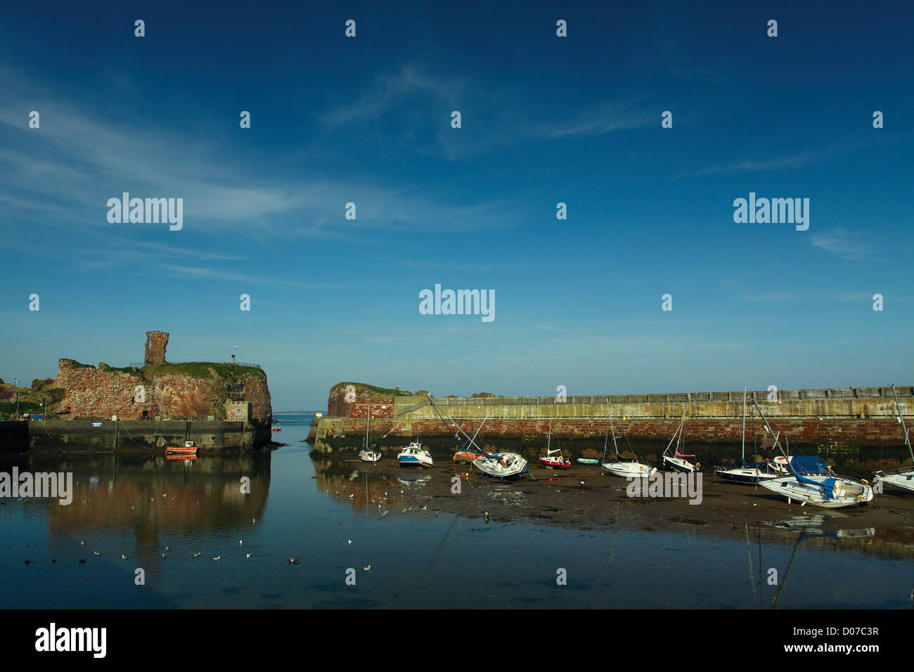 Dunbar Harbour and Dunbar Castle, Dunbar, East Lothian Stock Photo Alamy