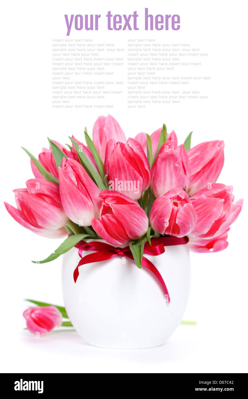 Beautiful pink tulips in a vase on a white background (with sample text ...