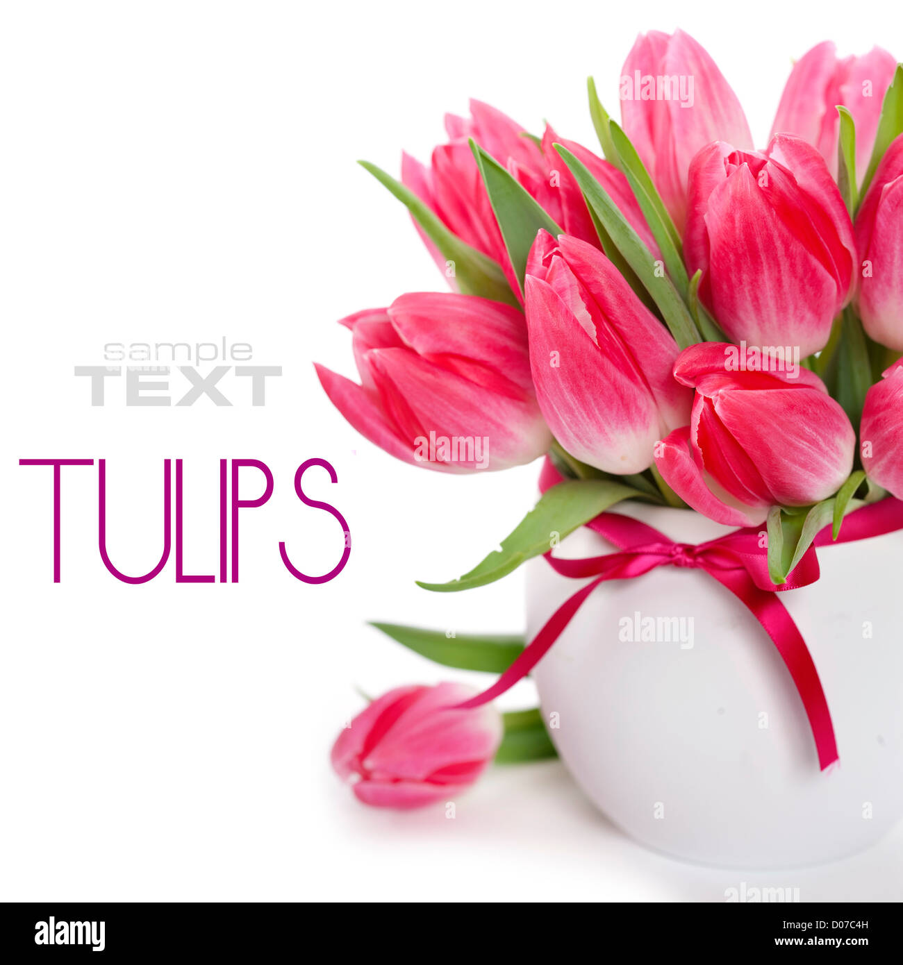 Beautiful pink tulips in a vase on a white background (with sample text ...