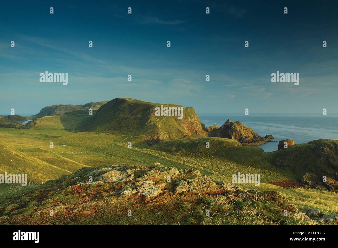 St Abbs Head and the Berwickshire Coast from St Abbs Head Nature Reserve, Scottish Borders Stock Photo