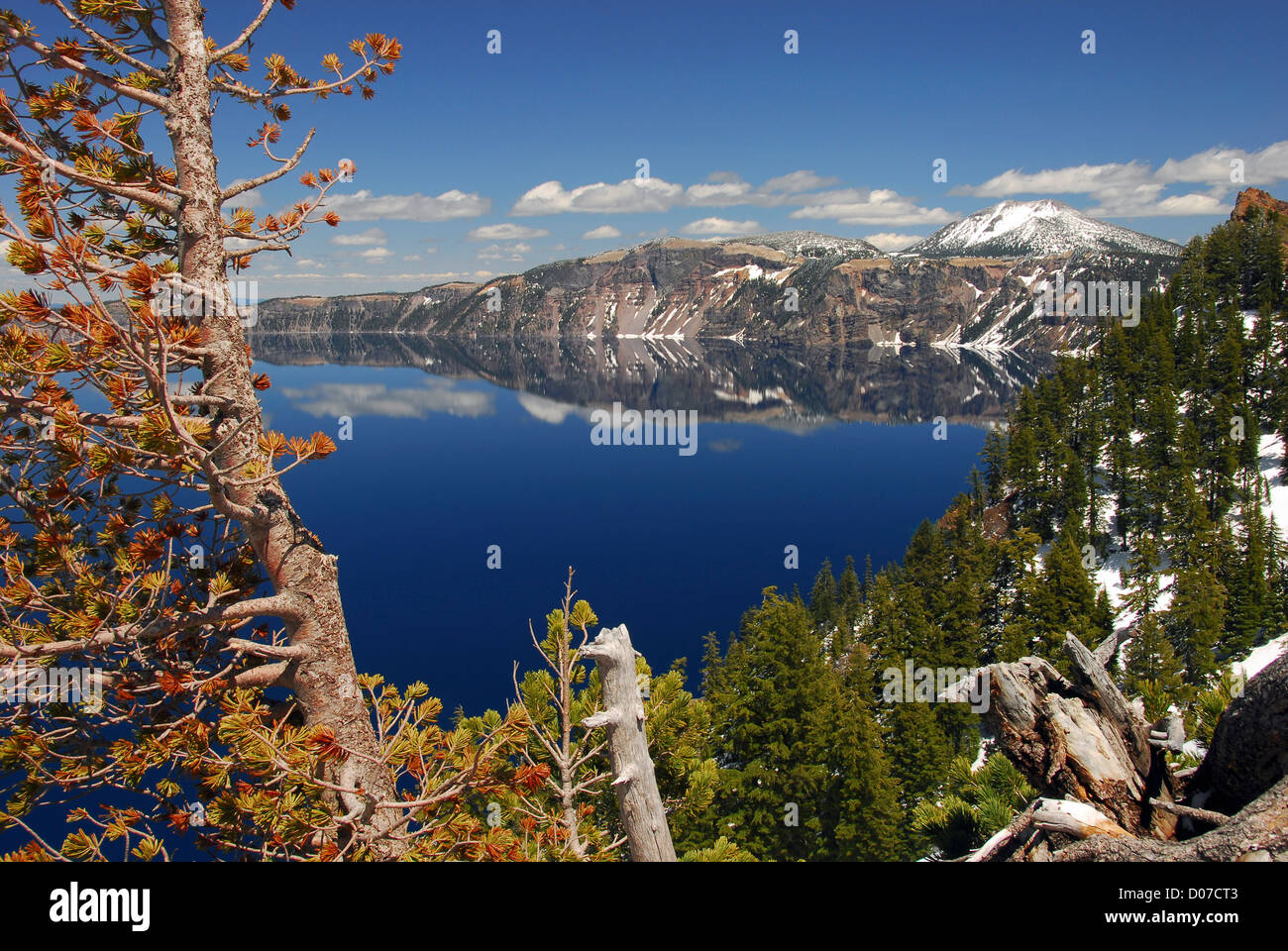 Crater Lake from the Rim, Crater Lake National Park, Oregon, USA Stock Photo