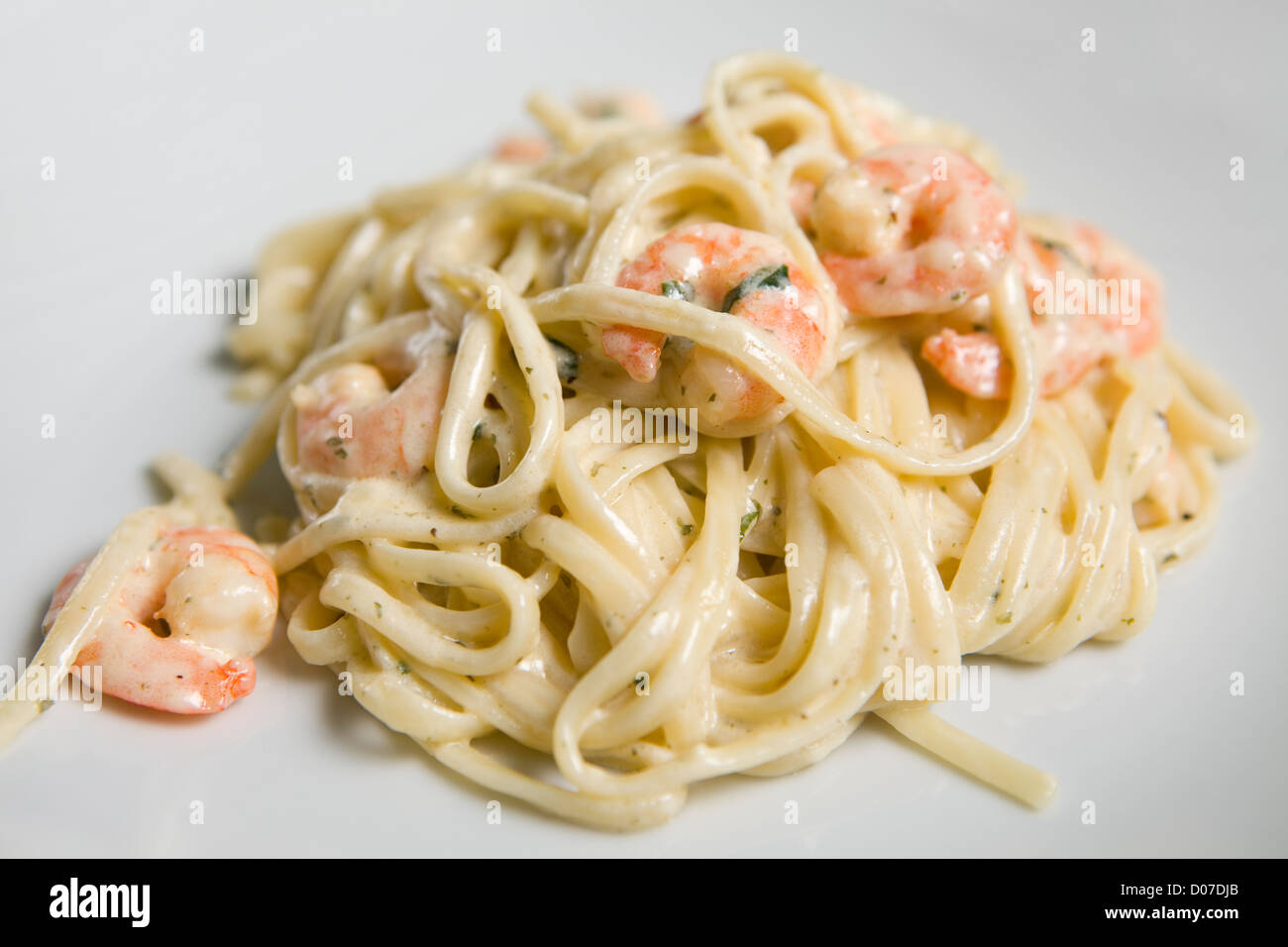 Homemade king prawn linguine on a white plate. Stock Photo