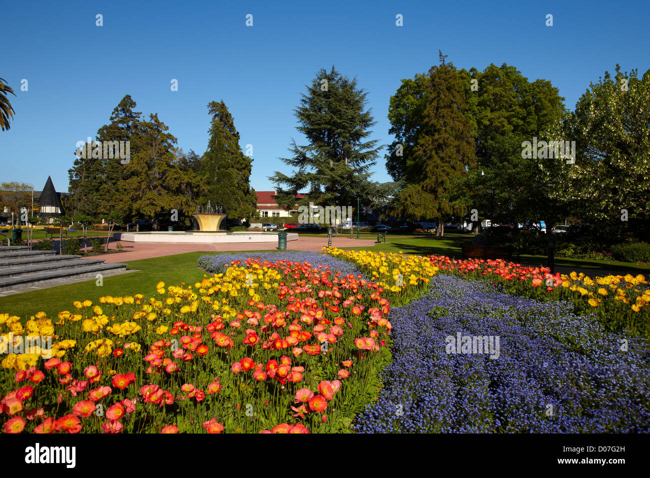 Flower Gardens, Seymour Square, Blenheim, Marlborough, South Island, New Zealand Stock Photo