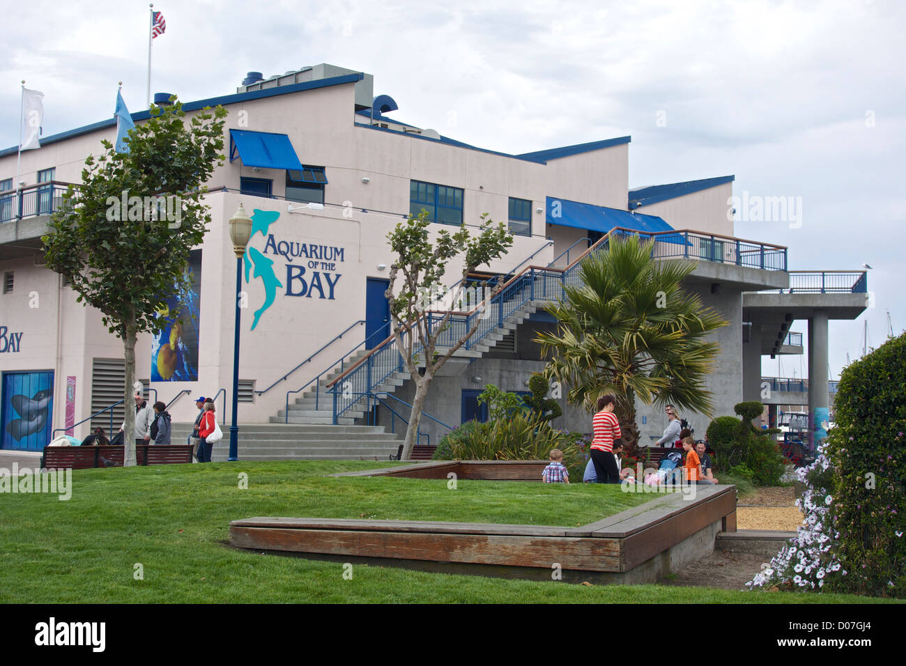 Aquarium of the Bay. San Francisco, California Stock Photo Alamy
