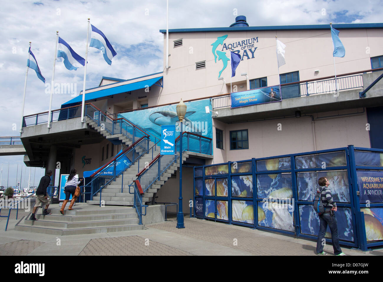 Aquarium of the Bay. San Francisco, California Stock Photo Alamy