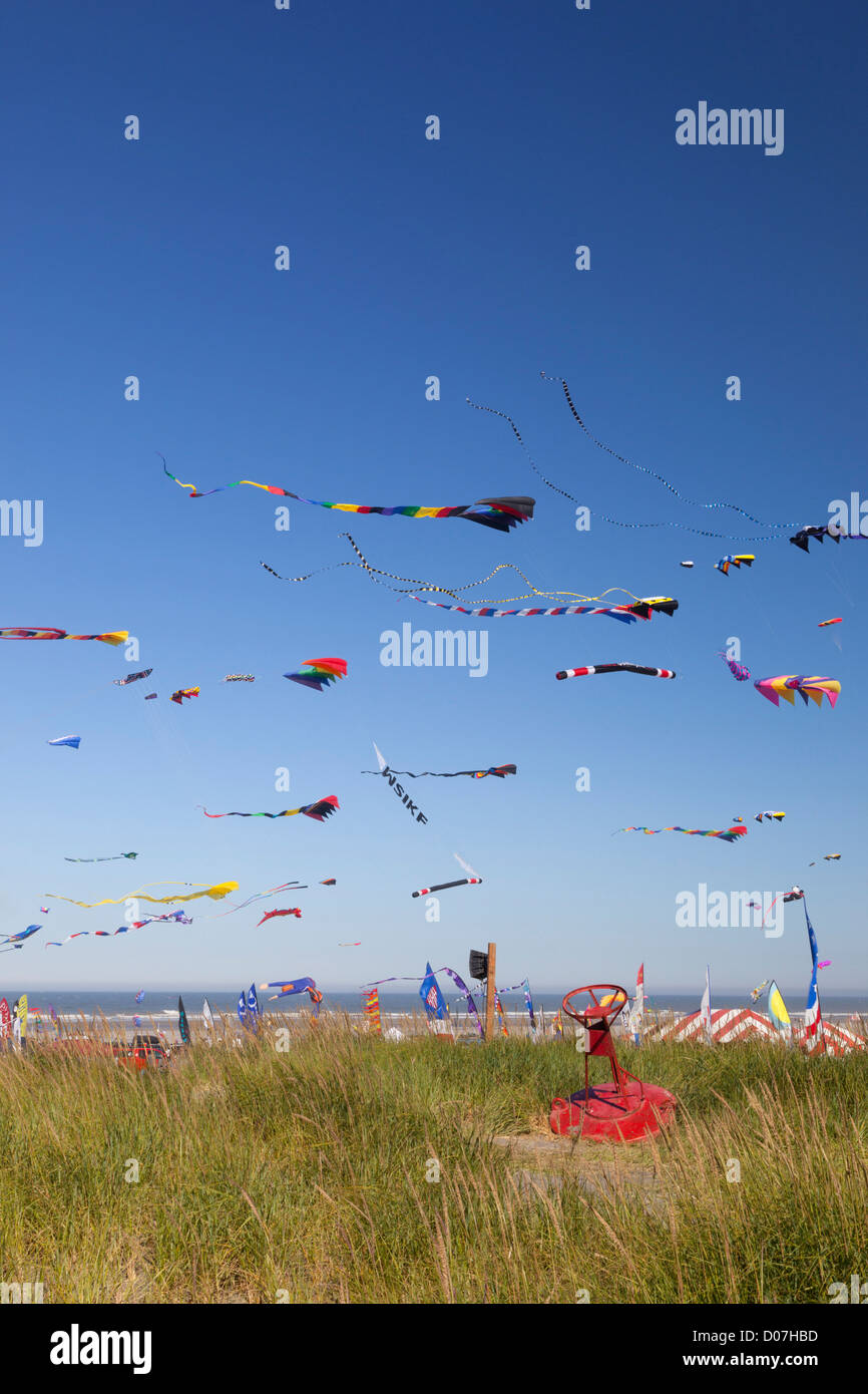 Washington kite long beach hires stock photography and images Alamy