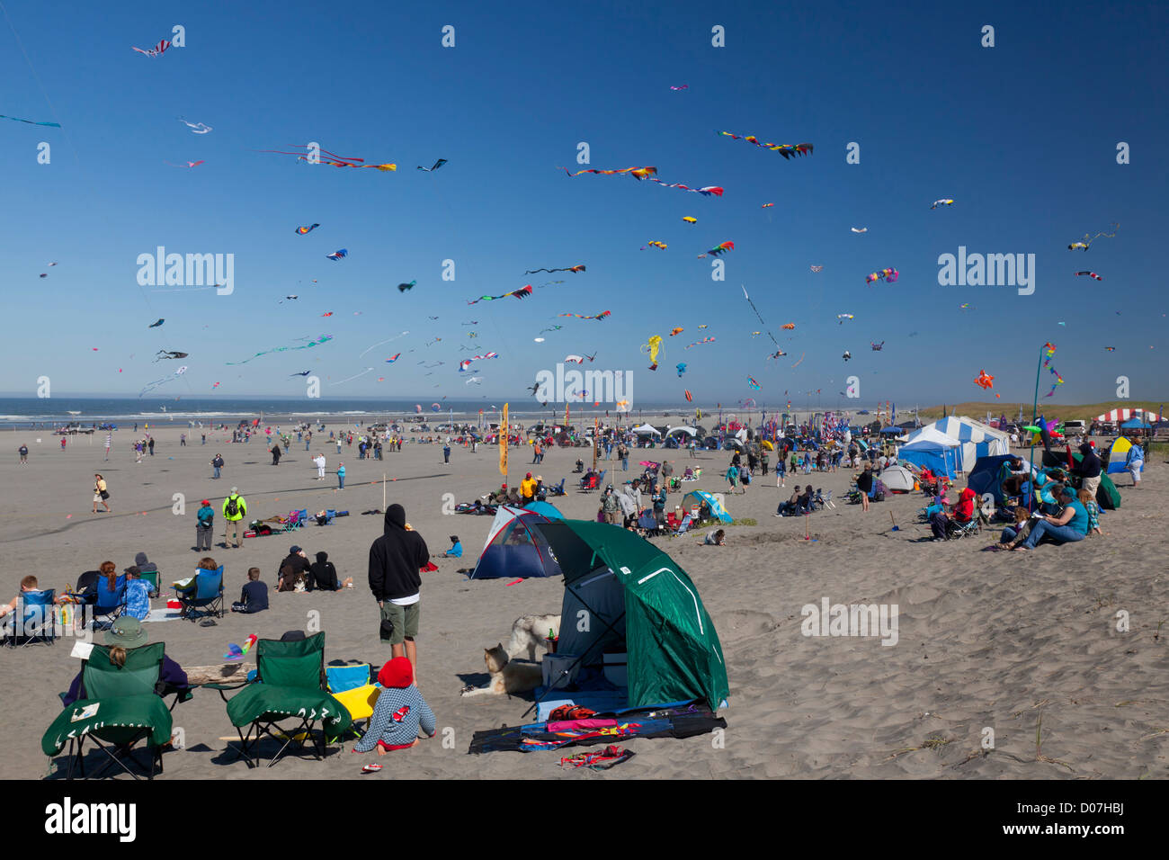 WA, Long Beach, International Kite Festival, Colorful kites Stock Photo