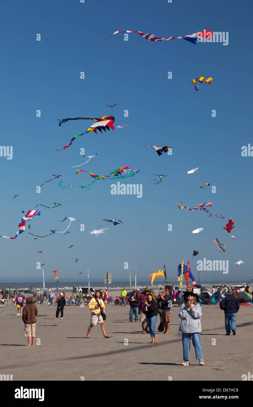 Long Beach Washington Kite Festival 2025 Meryl Robbyn