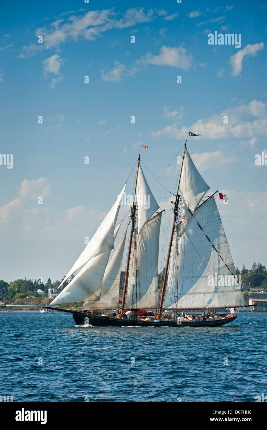 Sailboats compete in the Port Townsend Wooden Boat Festival schooner