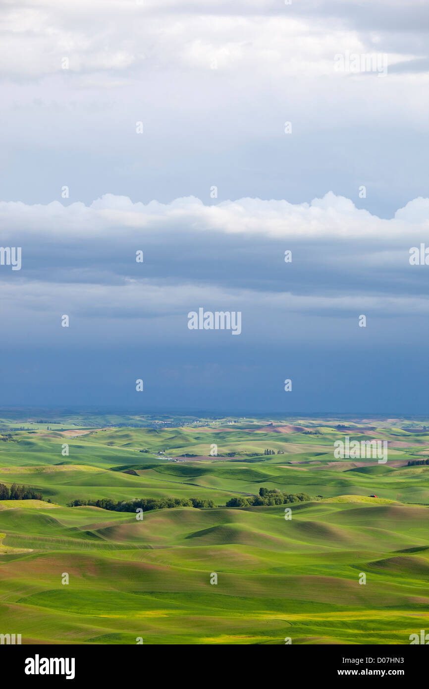 WA, Whitman County, view of farmland from Steptoe Butte Stock Photo Alamy