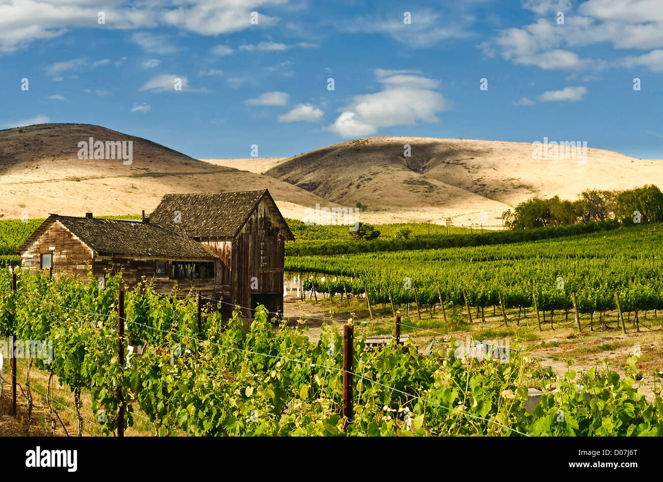 Sageland hires stock photography and images Alamy