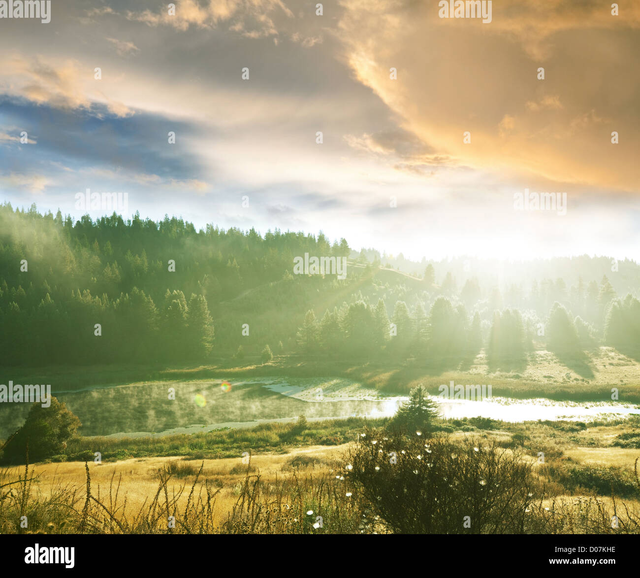 Large meadow on sunny hi-res stock photography and images - Alamy