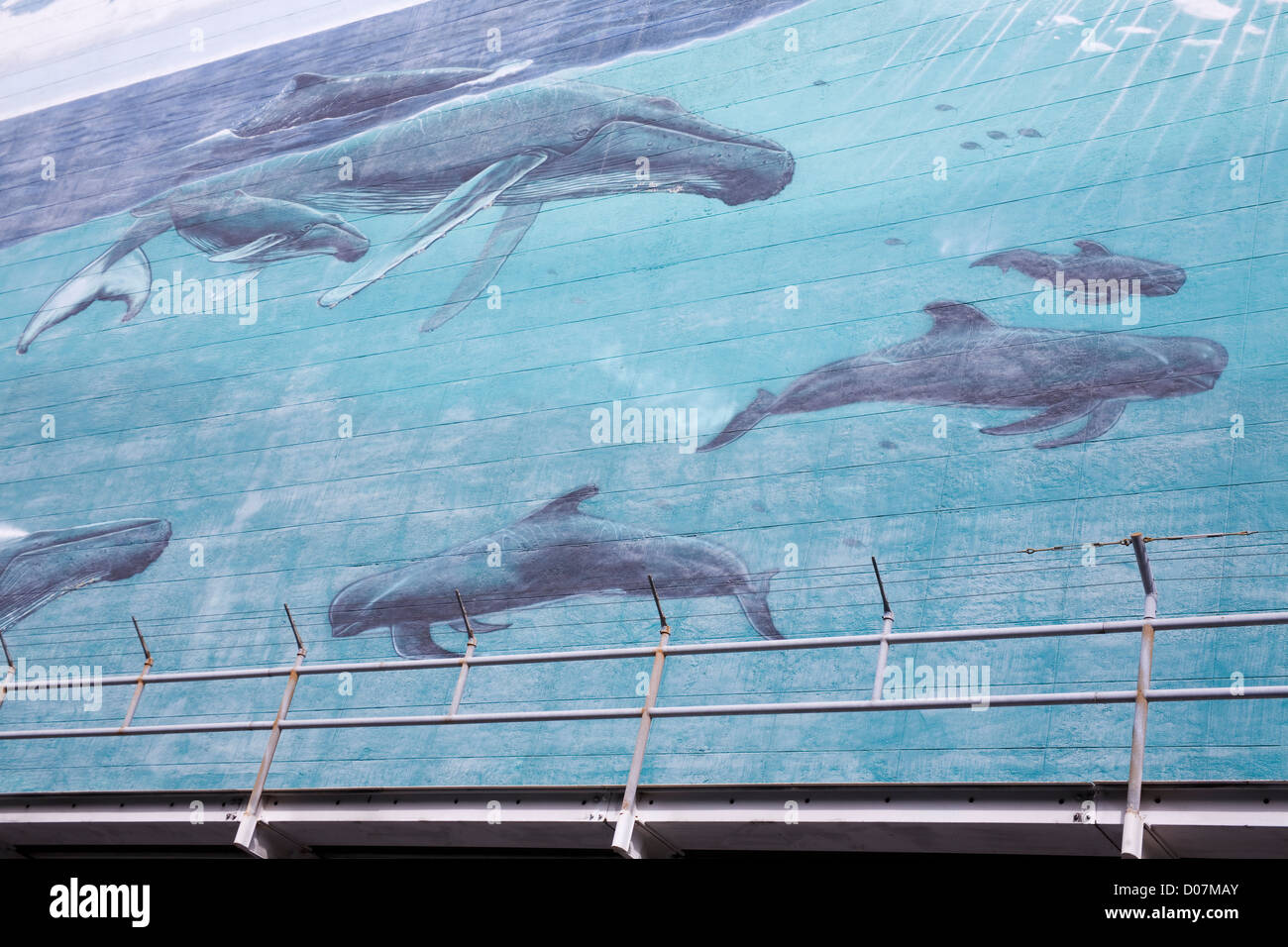 Wyland whale mural hires stock photography and images Alamy
