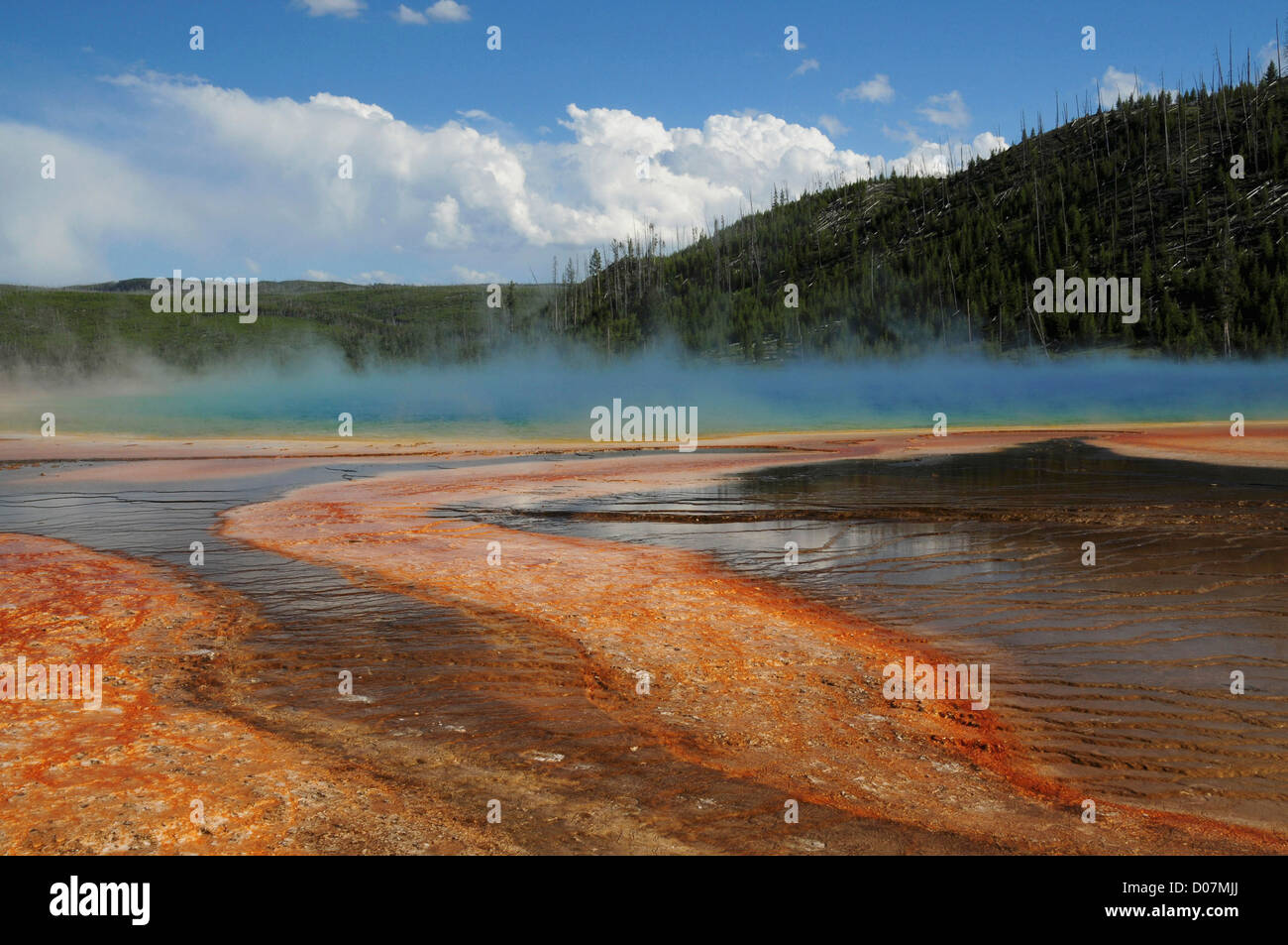 Grand Prismatic Spring (3), Middle Geyser Basin, Yellowstone National Park, Wyoming, USA Stock Photo
