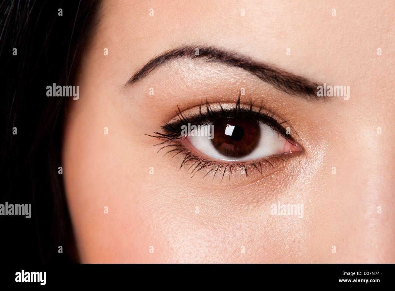 Beautiful female eyebrow and brown eye with lashes on fair skin. Stock Photo