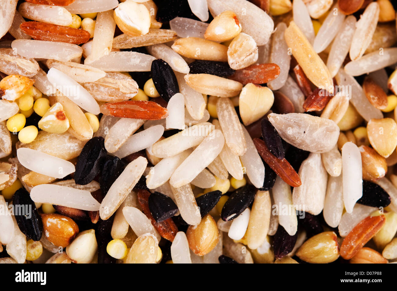 Raw grains background, mixed with 12 different grains Stock Photo Alamy