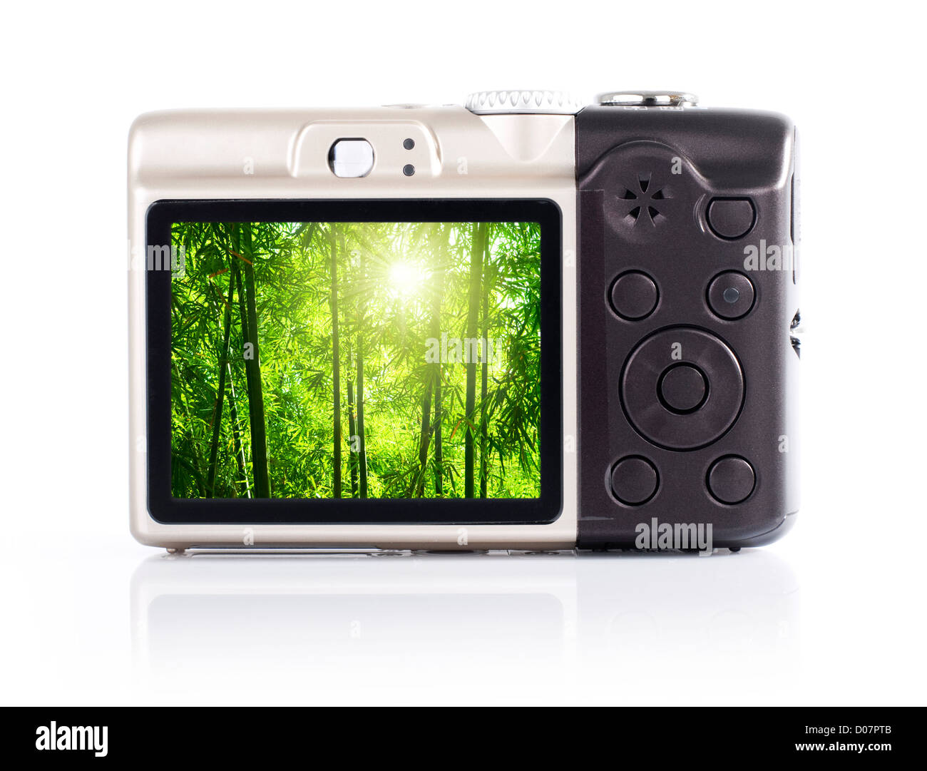 digital camera lcd display free sample