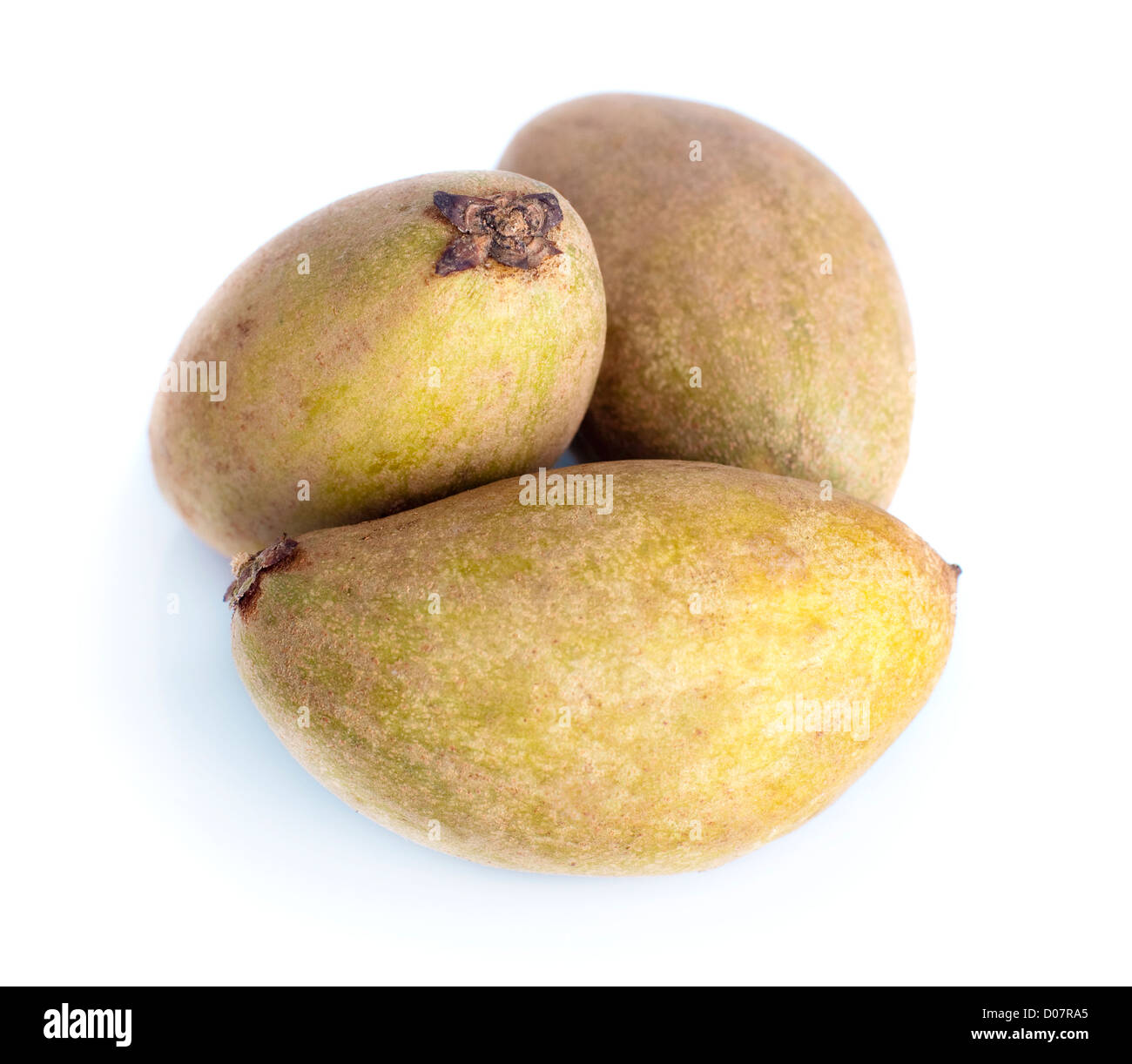 Tropical fruit Chiku isolated on white background Stock Photo Alamy
