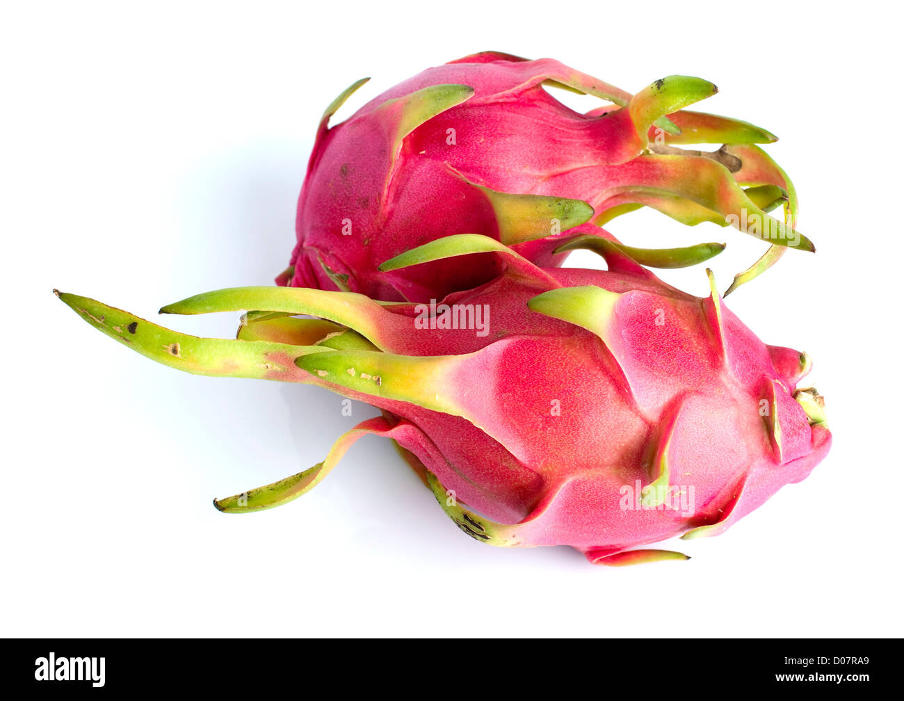 Katta kokrak bilan oshpazlar bilan porno