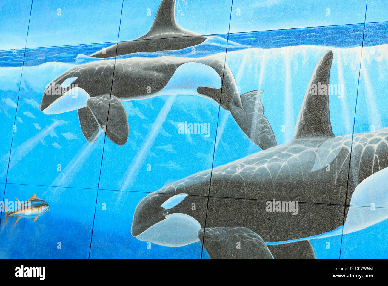 Whale mural by Wyland on the Convention Center,South Padre Island,Gulf of Mexico,Texas,USA Stock Photo