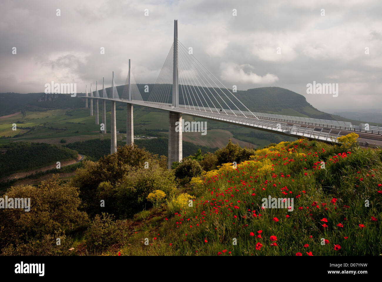 Millau viaduct or viaduc de Millau, with poppies and other flowers, on the A75 E11 autoroute, tarn gorge. Cevennes, France. Stock Photo