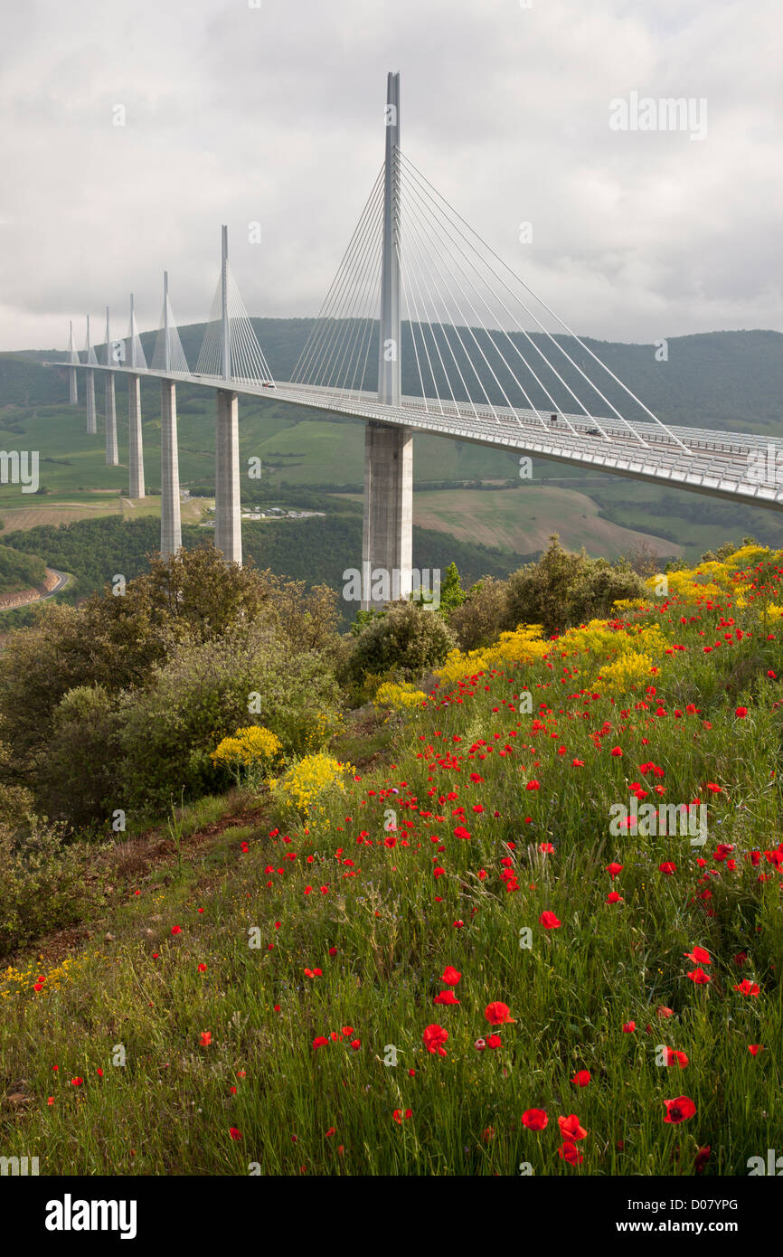 Millau viaduct or viaduc de Millau, with poppies and other flowers, on the A75 E11 autoroute, tarn gorge. Cevennes, France. Stock Photo
