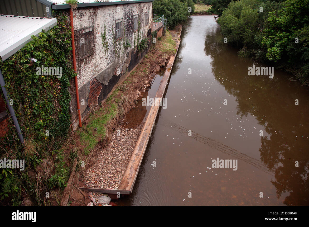 Flooding erosion in Ottery St Mary. The River Otter in Devon July 2012 Stock Photo