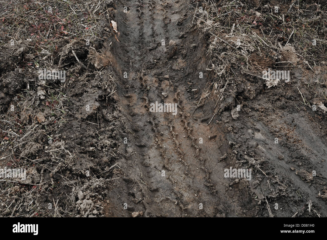 Single Truck Track in Mud that can be used as a background Stock Photo
