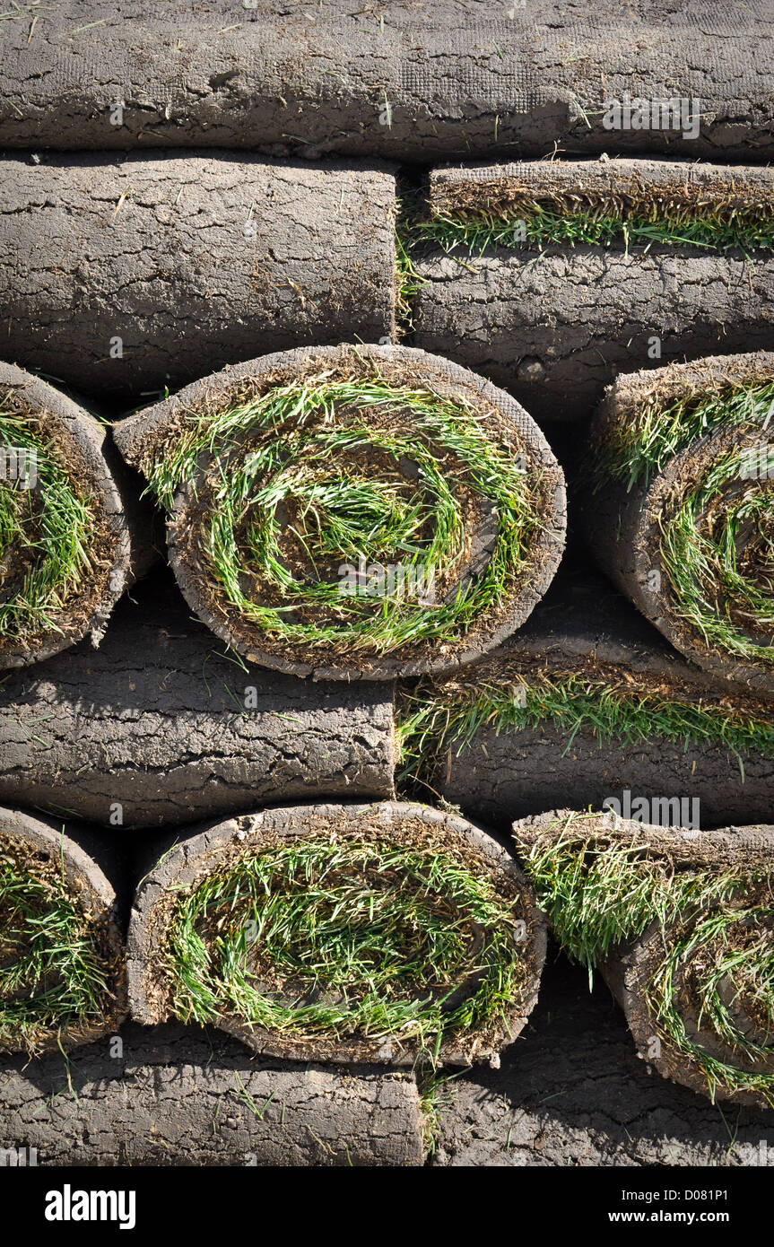 Green Grass Sod Background Stock Photo