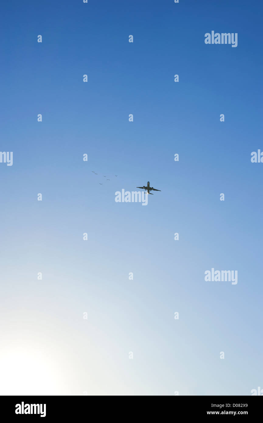 Airliner against blue sky Stock Photo - Alamy