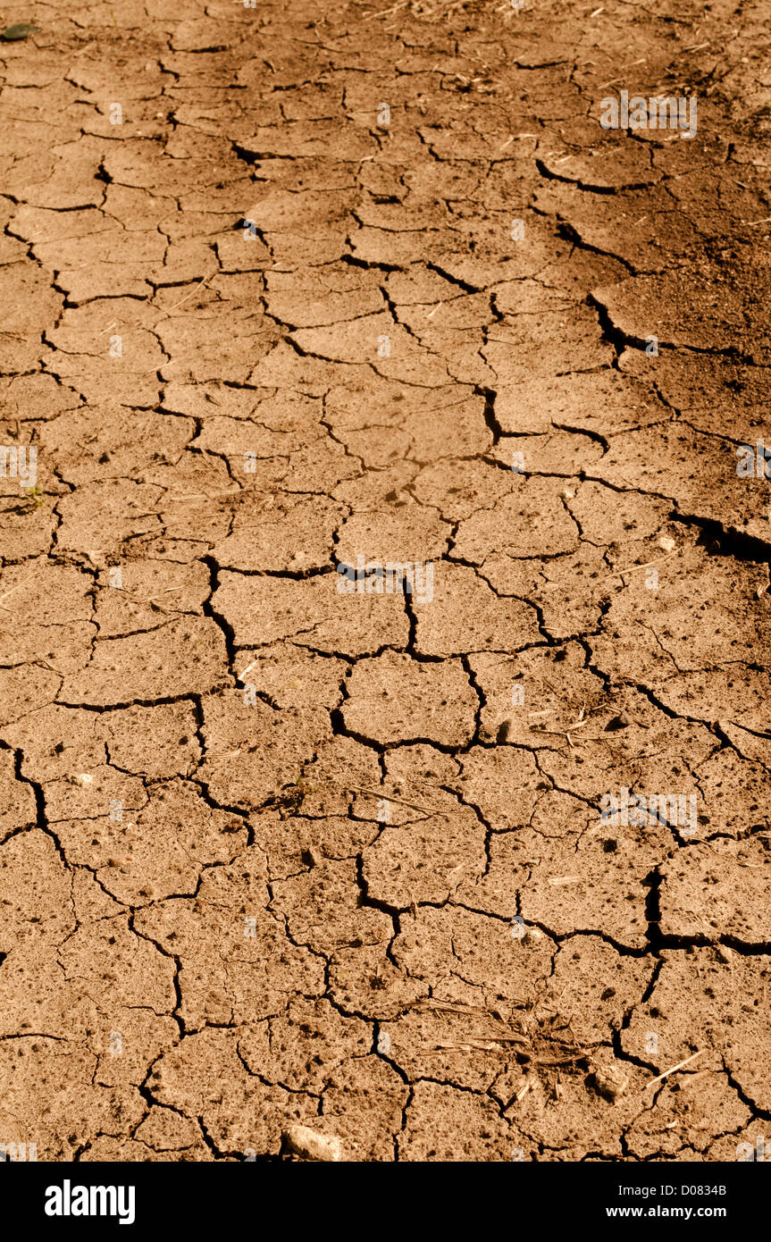 Tan Cracked Ground Background with space for Text Stock Photo