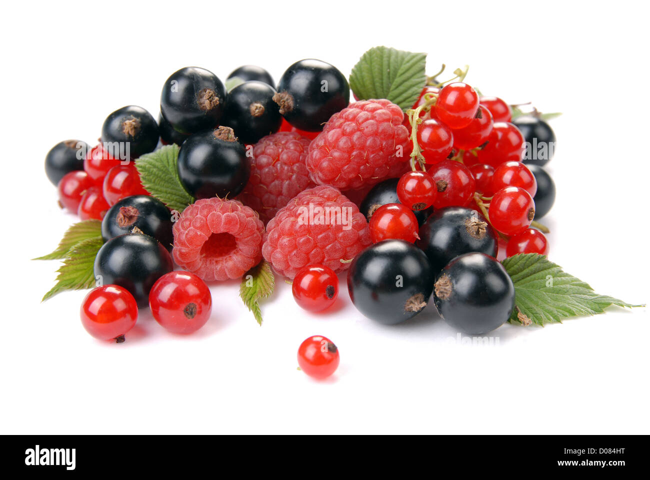 Black berry Cut Out Stock Images & Pictures - Alamy