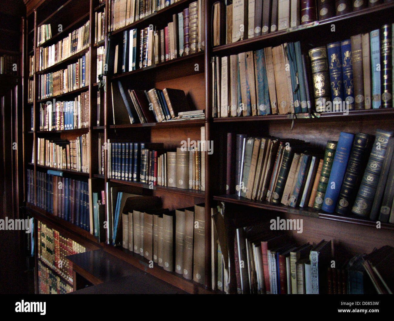 old books on library Stock Photo Alamy