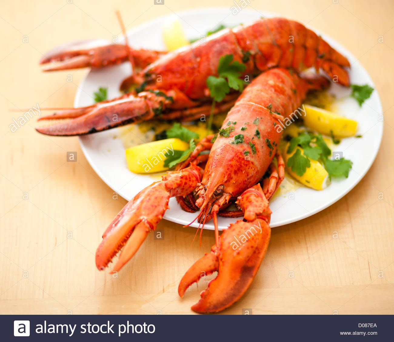 Lobster Dish Plate Stock Photos & Lobster Dish Plate Stock Images Alamy