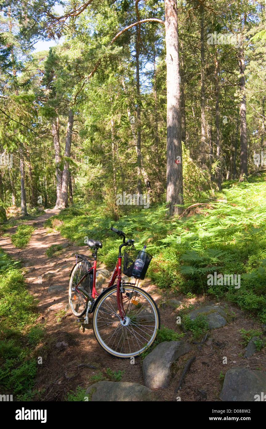 ornamental woods cycle route