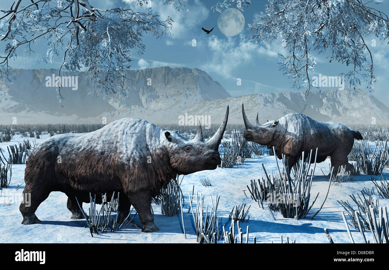 Woolly Rhinoceros Hi-res Stock Photography And Images - Alamy