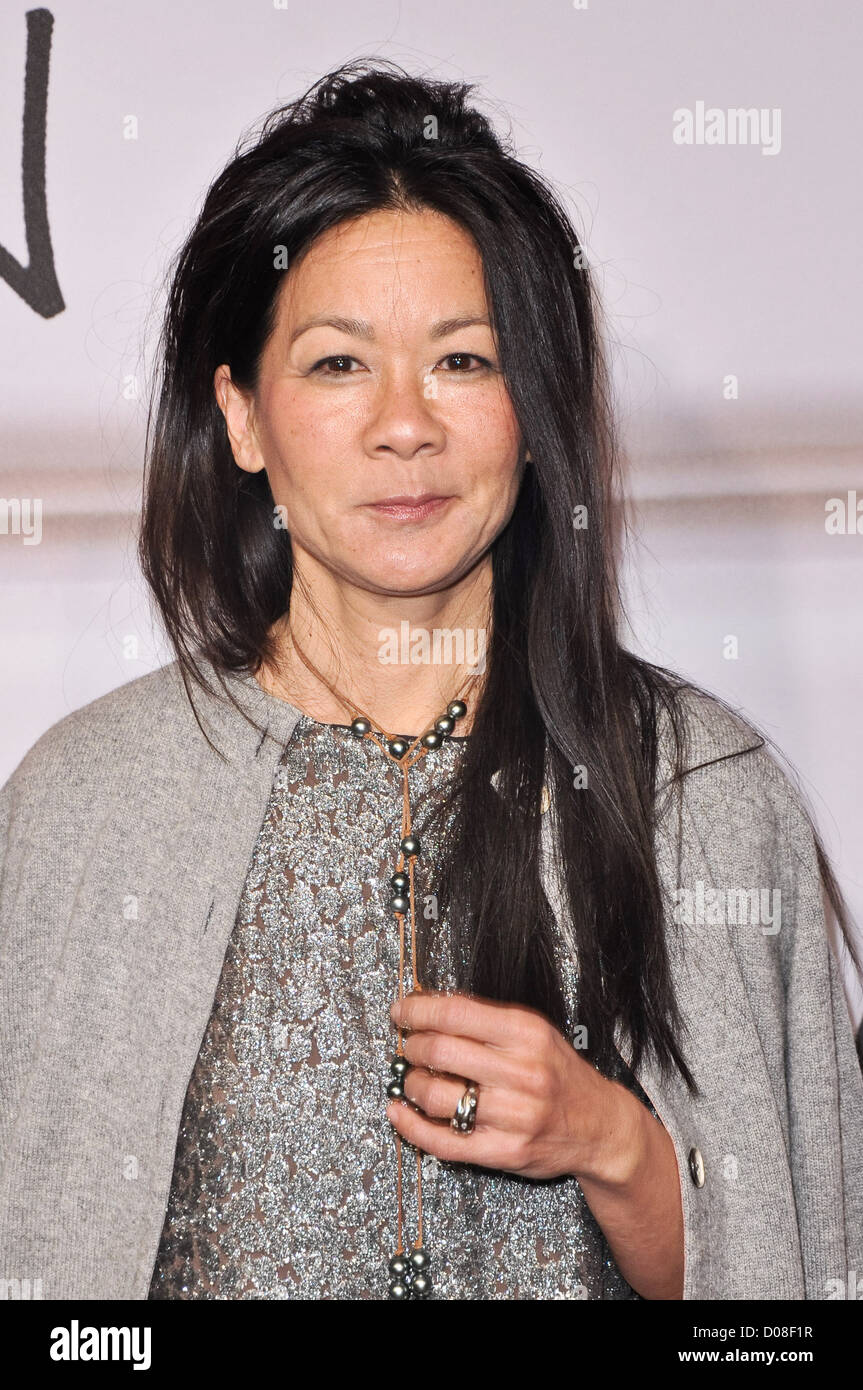 Helen Lee Schifter Lavin for H&M Haute Couture Show at The Pierre Hotel - Arrivals New York City, USA - 18.11.2010 Stock Photo