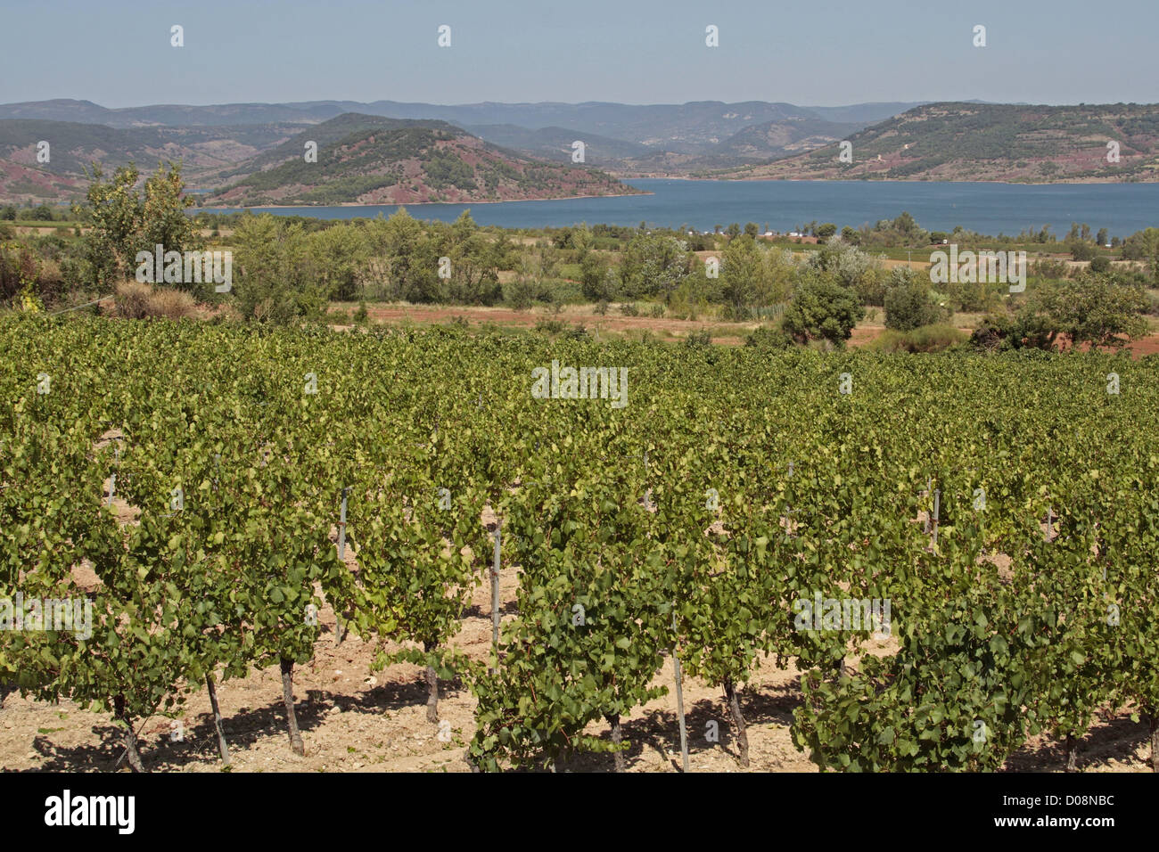 Coteaux du languedoc hires stock photography and images Alamy