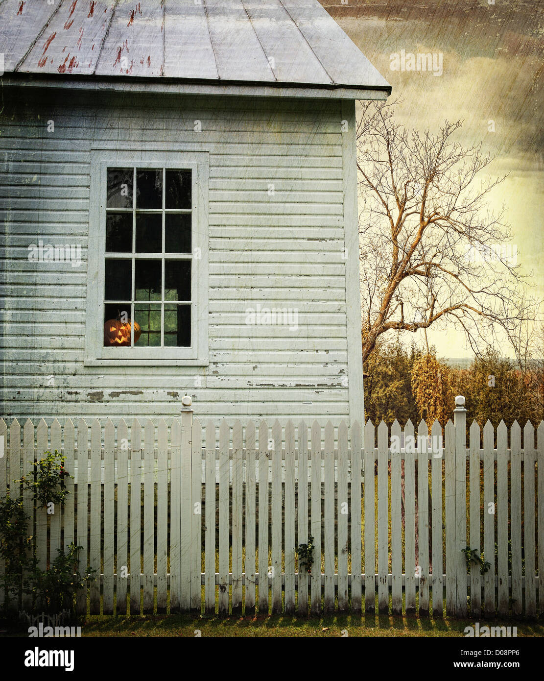 Old farm  house window with pumpkin for Halloween Stock Photo