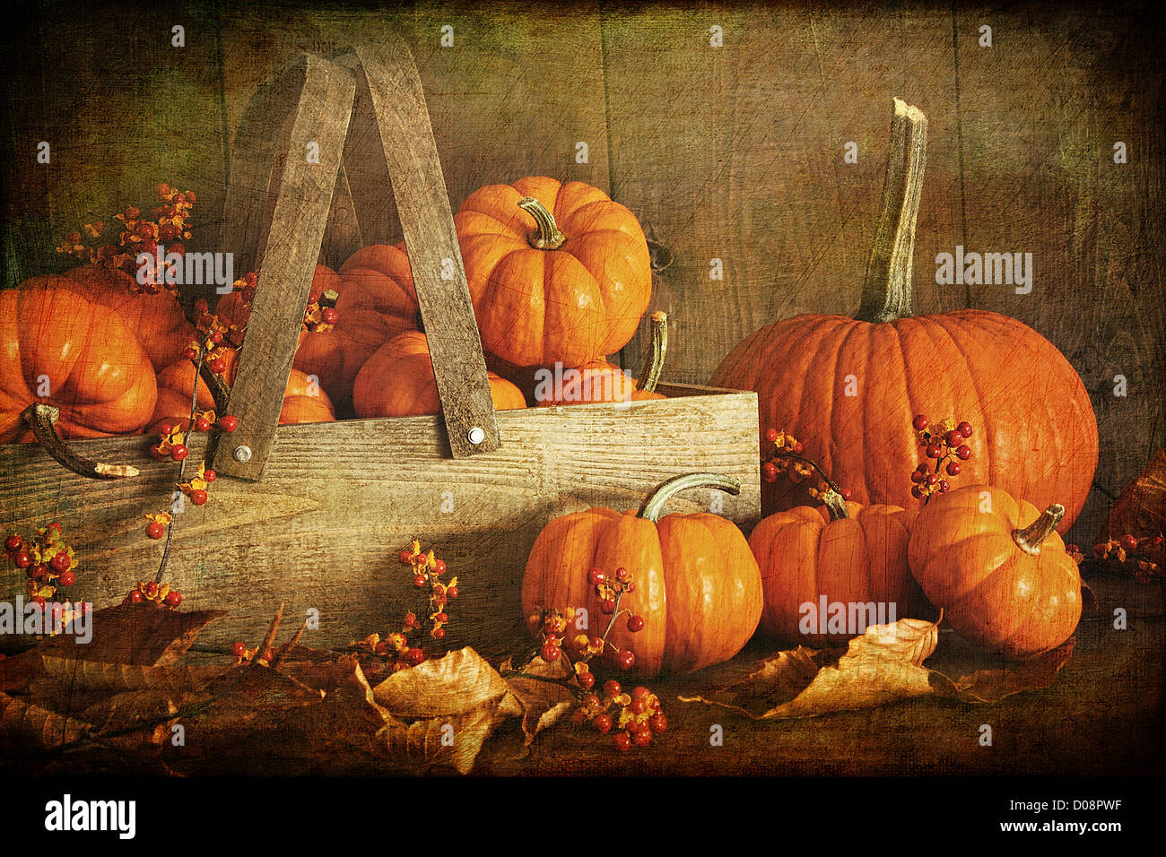 Colorful pumpkins with dark wood background Stock Photo - Alamy