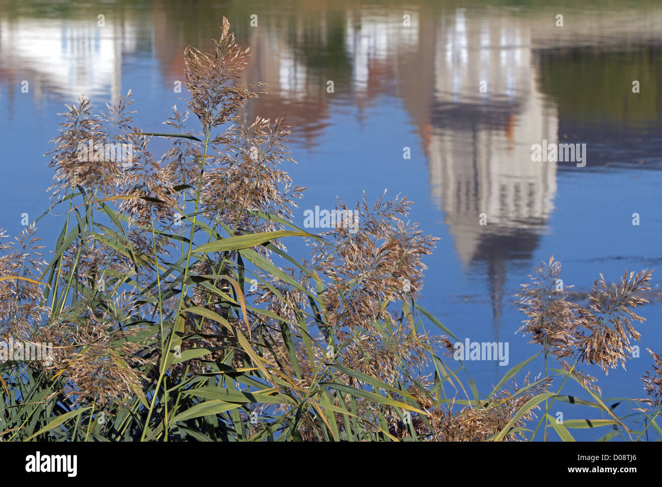 Rushes church hi-res stock photography and images - Alamy
